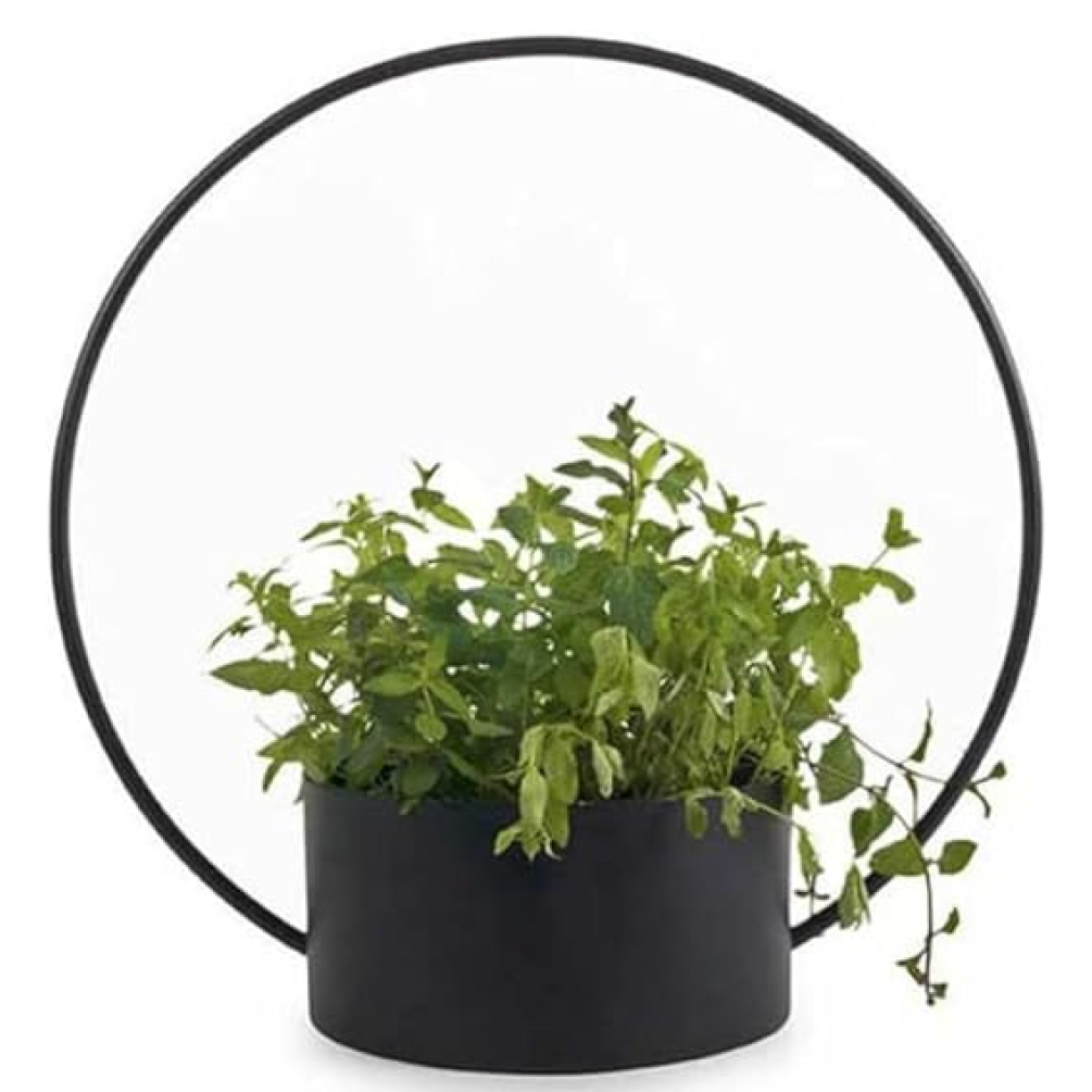 Circular Hanging Planter