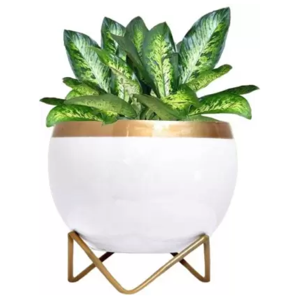 Decorative White Pot With Stand
