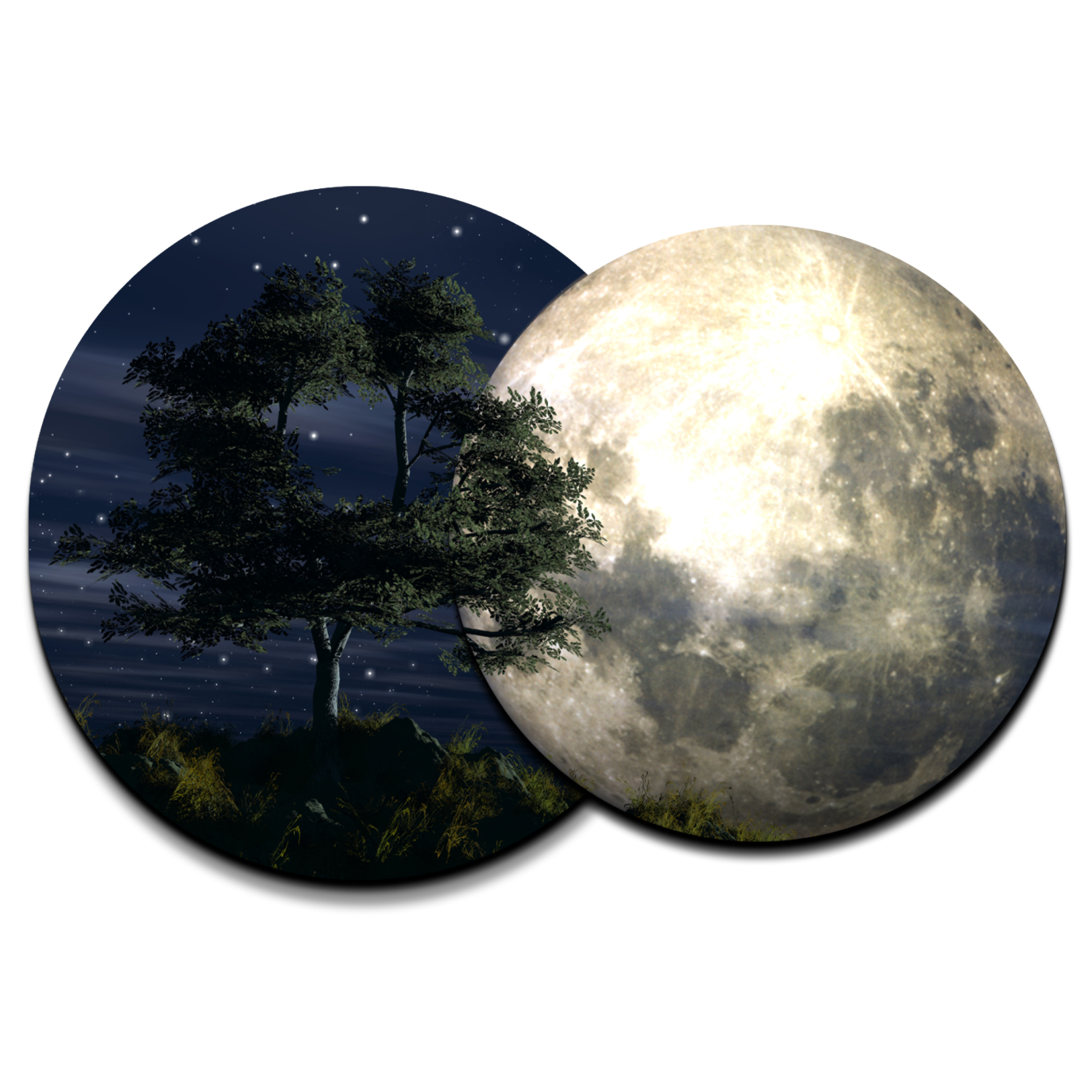 Beautiful Night Landscape Round Wood Print Wall Art