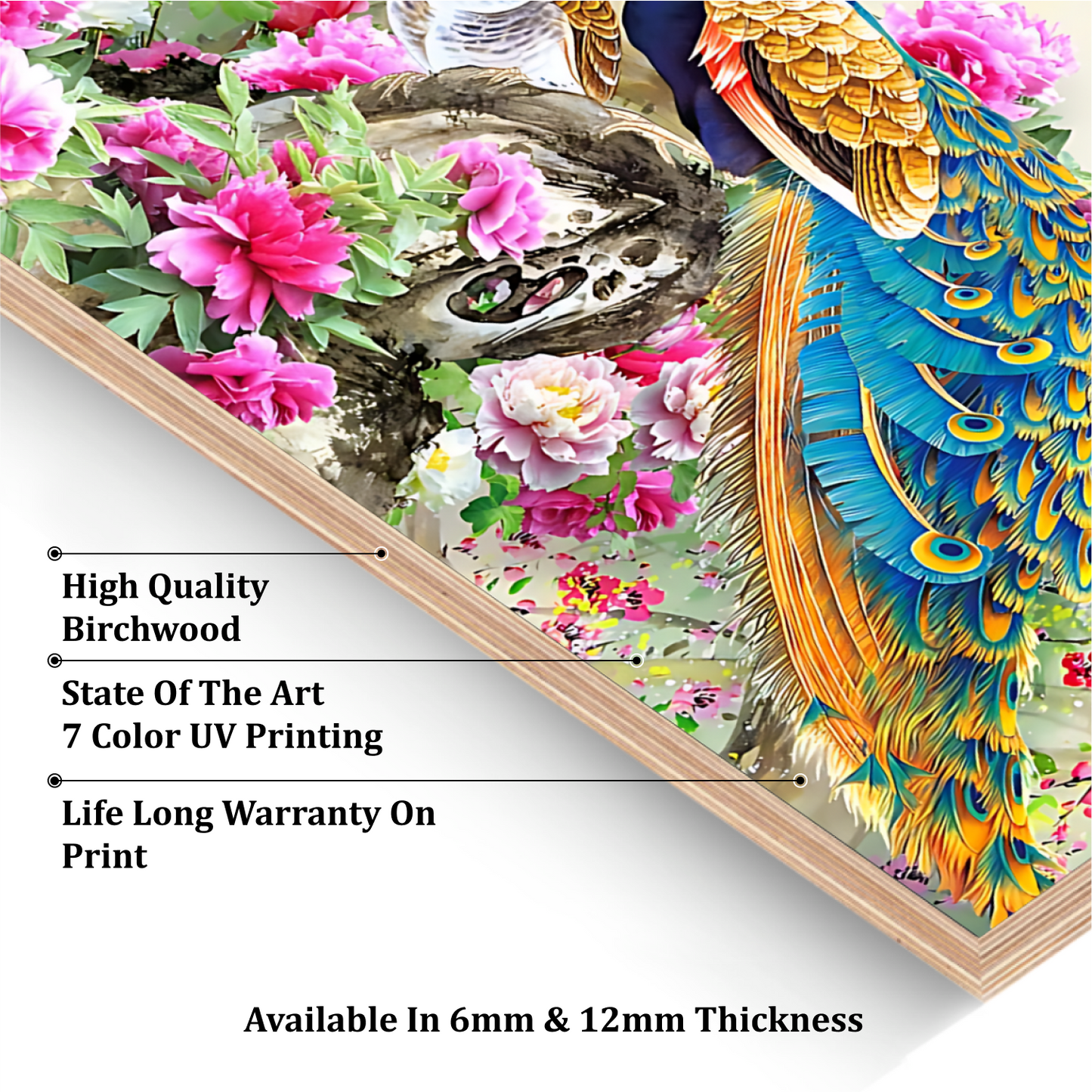 Peacock Good Luck Wall Art Luxury Painting