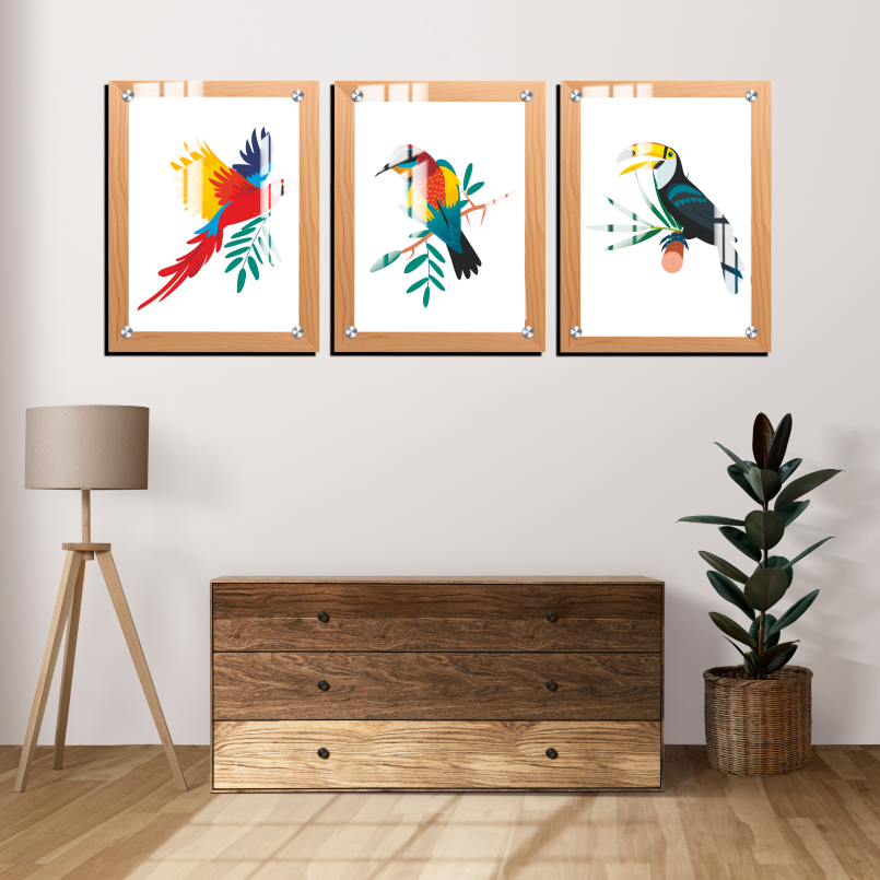 Beautiful Birds Wood and Acrylic Print Wall Art Set of 3