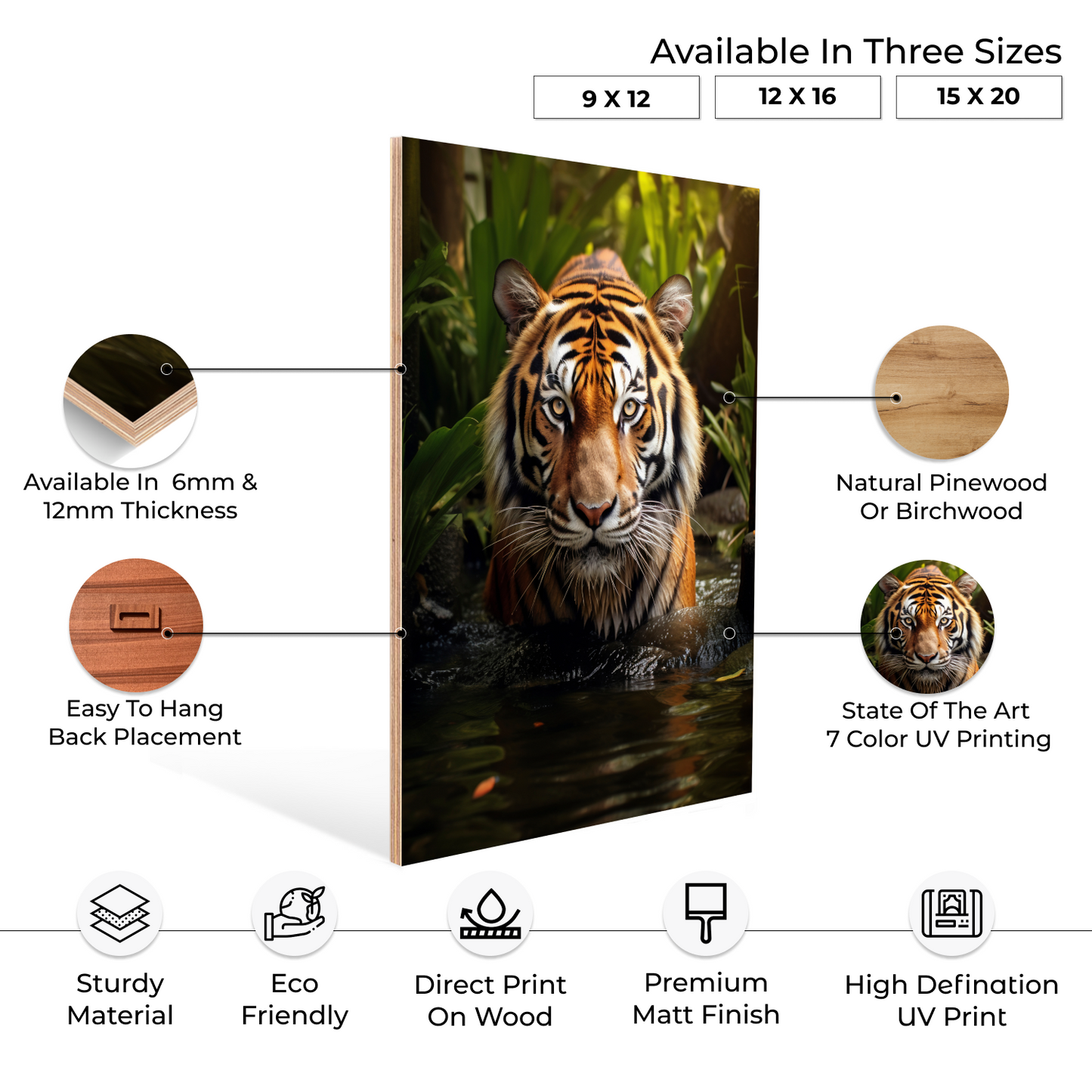 Focused Lion Wood Print Wall Art