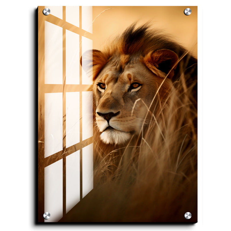Lion Face Wood Print Wall Art