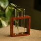 Decorative Test Tube Planters With Wooden Frame