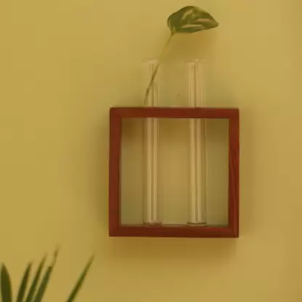 Decorative Test Tube Planters With Wooden Frame