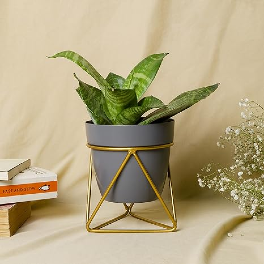 Desk and Table Planter With Gold Stand