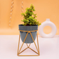 Desk and Table Planter With Gold Stand