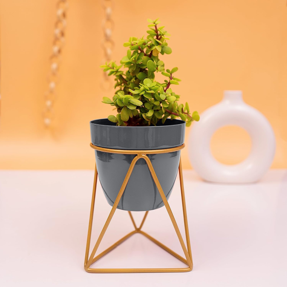 Desk and Table Planter With Gold Stand