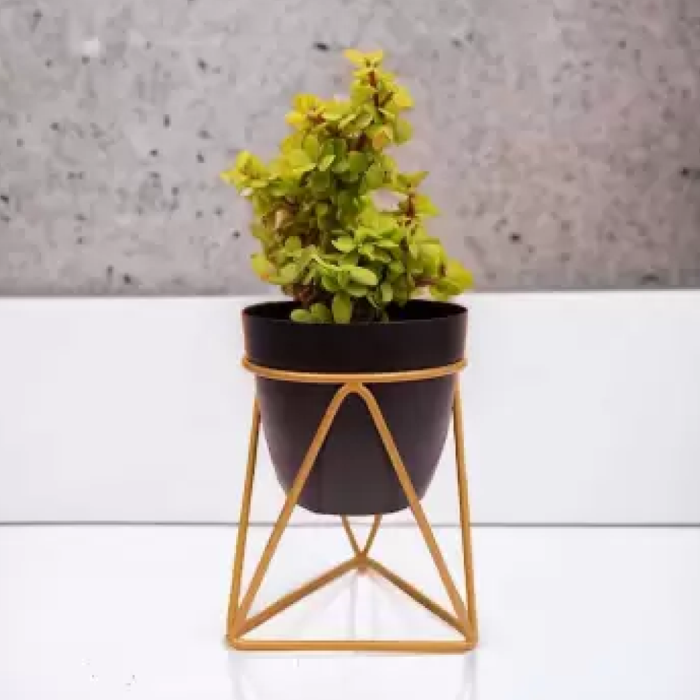 Desk and Table Planter With Gold Stand