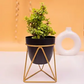 Desk and Table Planter With Gold Stand