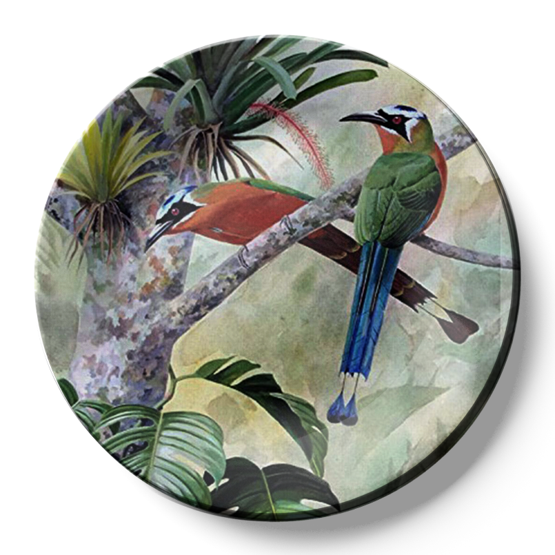 Tropical Birds hanging plates wall decor