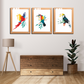 Beautiful Birds Wood and Acrylic Print Wall Art Set of 3