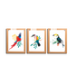 Beautiful Birds Wood and Acrylic Print Wall Art Set of 3