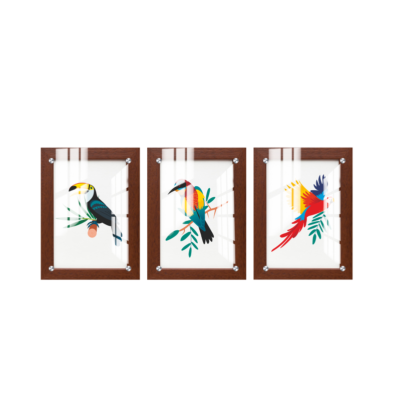 Beautiful Birds With Brown Printed Wood and Acrylic Print Wall Art Set of 3