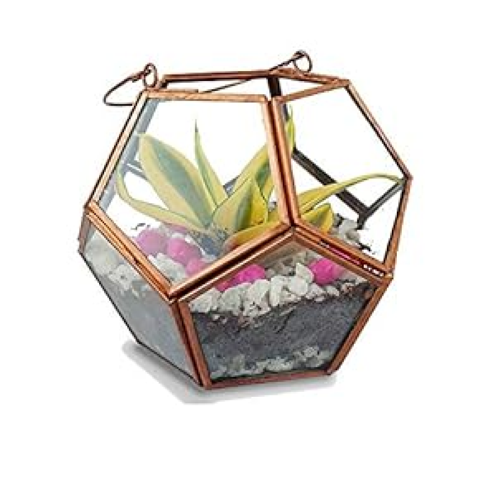 Glass Metal Octa Ball Geometric Terrarium