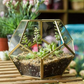 Glass Metal Octa Ball Geometric Terrarium