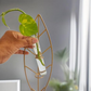 Metal Leaf Glass Flower Vase