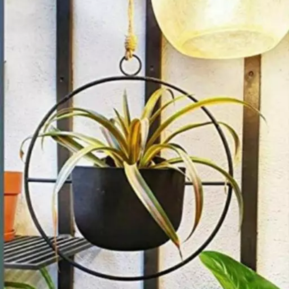 Metal Circular Hanging Planter