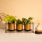 Set of 3 Gold Metal Floor Planters with Stand
