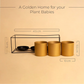 Set of 3 Gold Metal Floor Planters with Stand