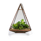 Triangular Tower Terrarium For Indoor Plants