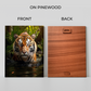 Focused Lion Wood Print Wall Art