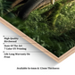 Huge Elephant in Jungle Wood Print Wall Art
