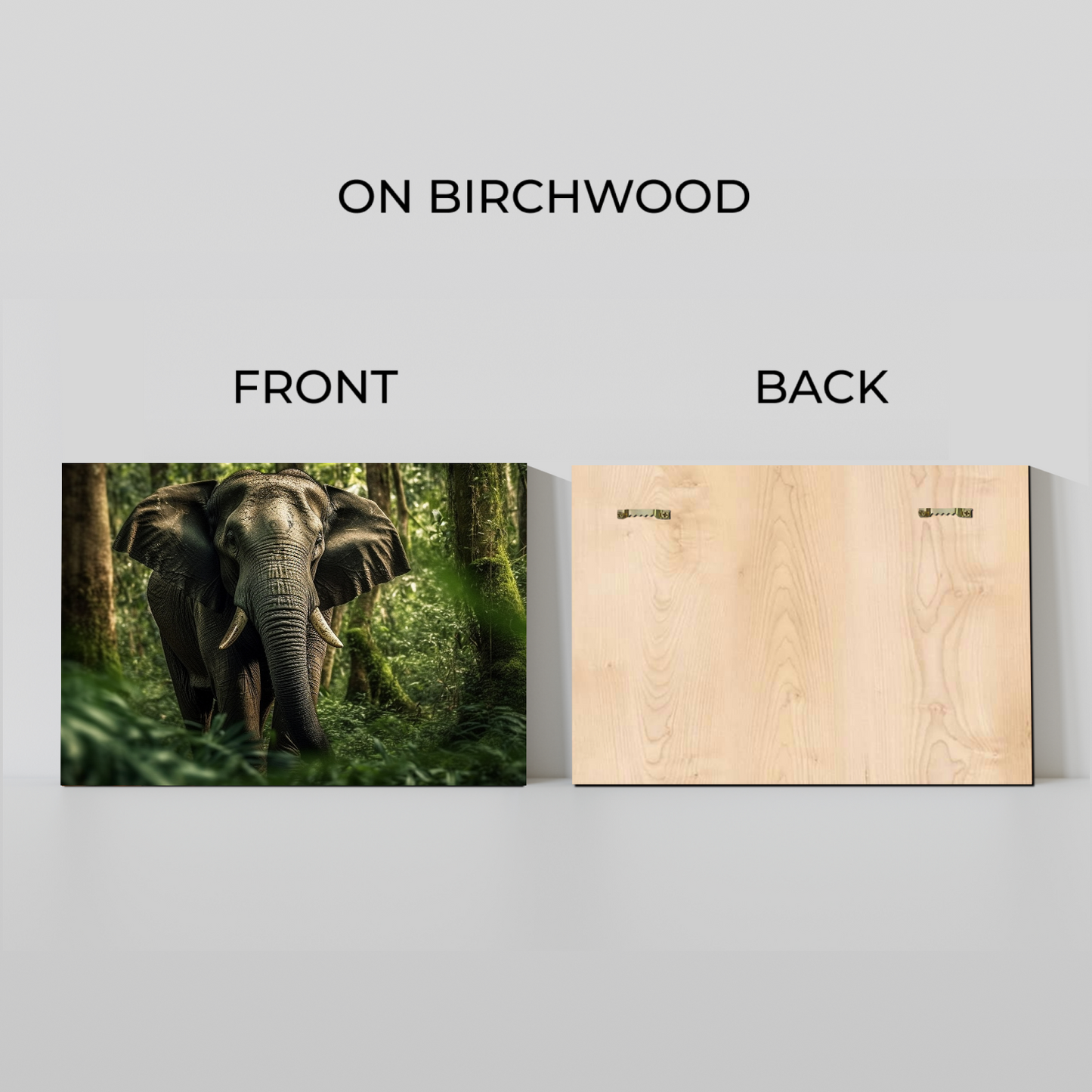 Huge Elephant in Jungle Wood Print Wall Art