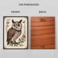 Owl With Steampunk Bird Wood Print Wall Art