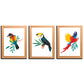Beautiful Birds Wood and Acrylic Print Wall Art Set of 3
