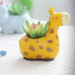 Cartoon Succulent Mini Flower Pot