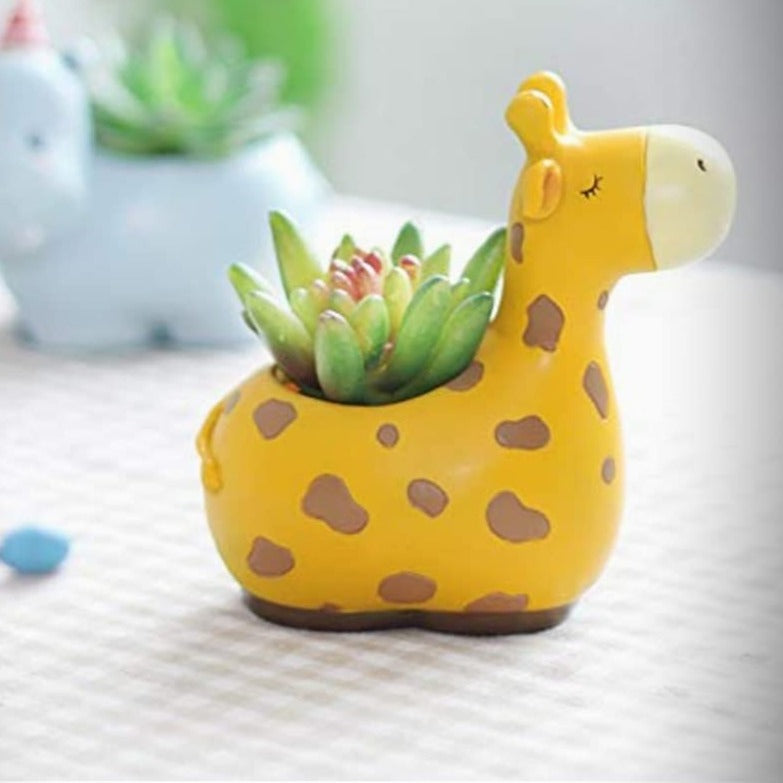 Cartoon Succulent Mini Flower Pot