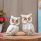 Set of 2 Owls Handicraft Showpiece For Home Décor