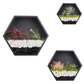 Set of 3 Hexagon Wall Planters