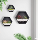 Set of 3 Hexagon Wall Planters