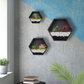 Set of 3 Hexagon Wall Planters