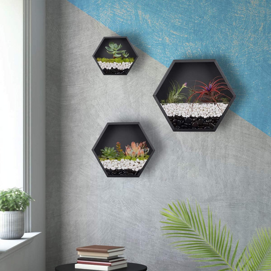 Set of 3 Hexagon Wall Planters
