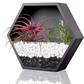 Set of 3 Hexagon Wall Planters