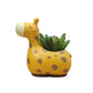 Cartoon Succulent Mini Flower Pot