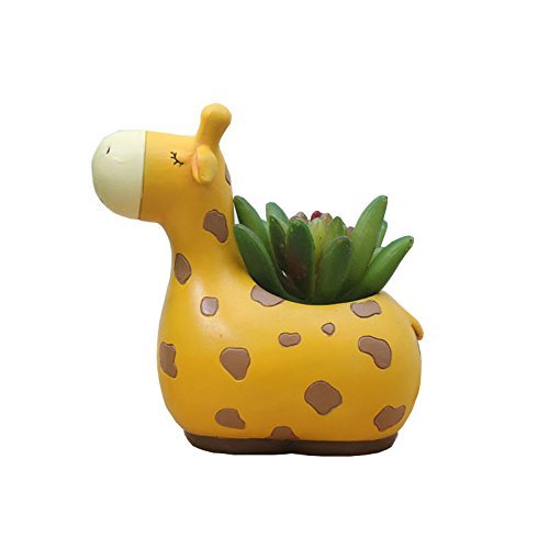 Cartoon Succulent Mini Flower Pot