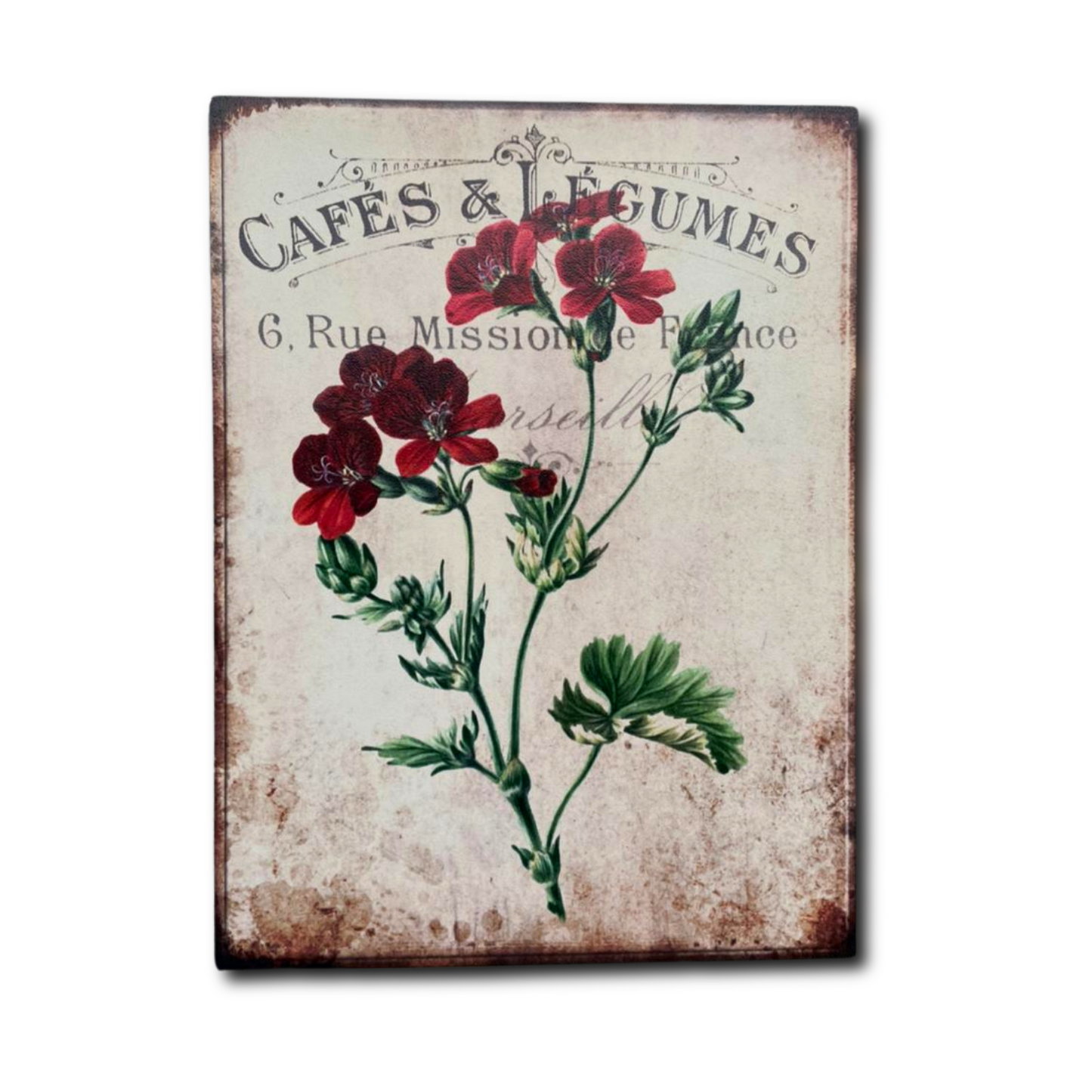 Café & Legumes Botanical Rustic Wall Art For Kitchen, Café, and Restaurant