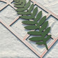 Gothic Botanical Window Wall Art Set of 3 Rustic Orange