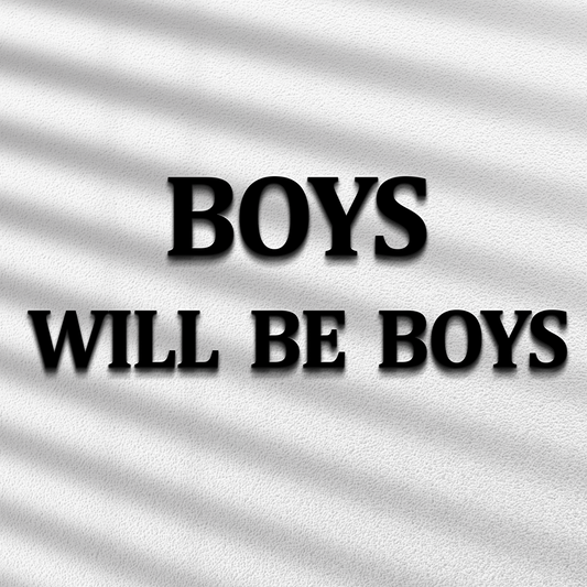 Boys Will Be Boys Quote 3D Wooden Art