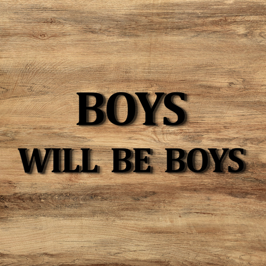 Boys Will Be Boys Quote 3D Wooden Art