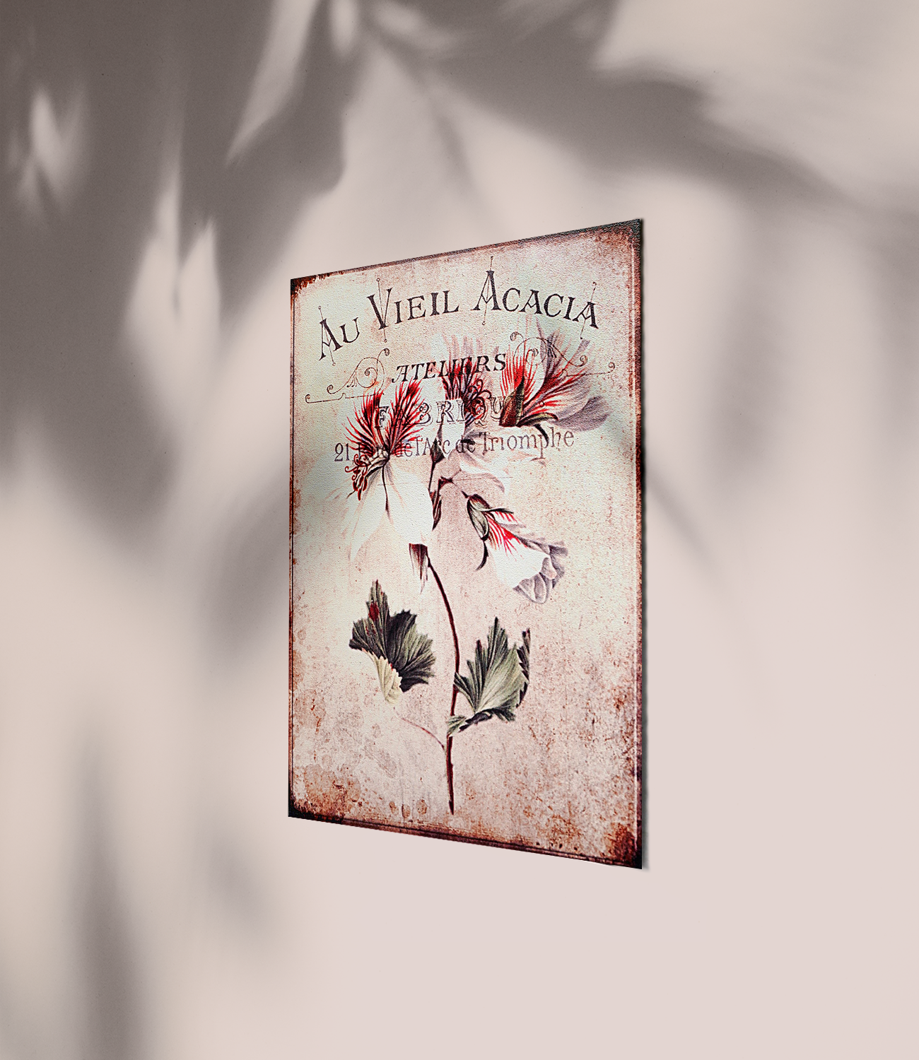 Vintage Botanical Rustic Wall Art Set of 3