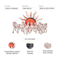 7 Horses With Rising Sun Vaastu Wall Art in Ivory and Orange