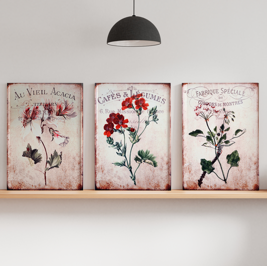 Vintage Botanical Rustic Wall Art Set of 3